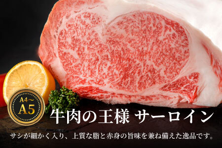 【冷凍配送】 飛騨牛 サーロインブロック 5kg ローストビーフ ステーキ 焼肉 A5 A4 サーロインステーキ サーロイン ブロック ブロック肉 塊肉 国産 牛 冷凍 和牛 牛肉 白川 ギフト 贈答 お肉 肉 東白川村 岐阜 飛騨 贅沢 霜降り 赤身 肉のひぐち