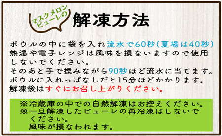  メロンピューレ(120g×5袋) バニラアイス(80ｇ×5個) アイス tn-0021