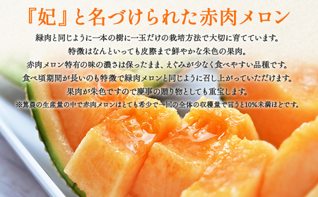 【11月以降順次配送】高知県産 マスクメロン ２玉 家庭用 【 赤肉青肉セット フルーツ くだもの フルーツ メロンの返礼品 】 香南市 tn-0026