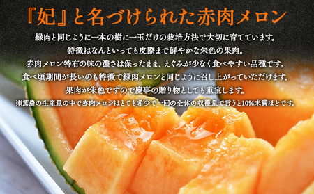 マスクメロン 2玉 食べ比べ メロン tn-0027