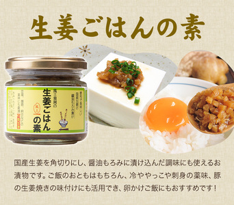 ご飯のお供 3種 セット 生姜ごはんの素 100g × 2 肉みそ生姜 130g × 2 豚ねぎ味噌 130g × 2 株式会社風土食房《30日以内に出荷予定(土日祝除く)》千葉県 我孫子市 肉みそ