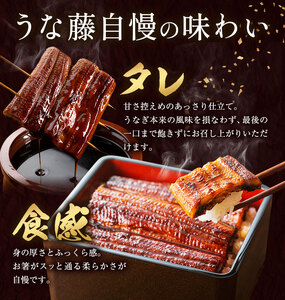 【2パック分け】鰻 国産 うなぎ かば焼き 1尾 小分け 約 160g うな藤《30日以内に出荷予定(土日祝除く)》千葉県 我孫子市  丑の日 炭火 鰻 ウナギ ギフト 真空パック タレ 山椒 冷凍 贈り物 プレゼント お祝い お取り寄せ ギフト