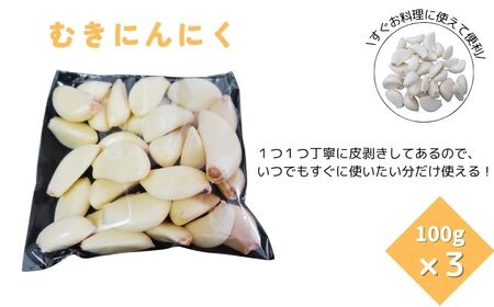 にんにくスプラウト・むきにんにく・切干にんにくの3種セット《30日以内に出荷予定(土日祝除く)》