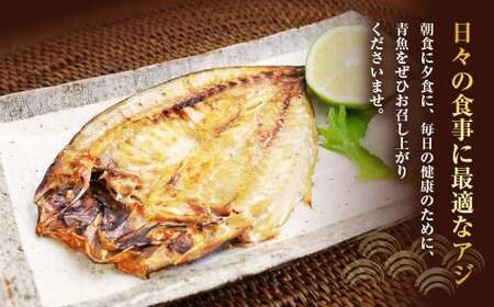 【全6回定期便】長崎産 真アジ一夜干し たっぷり21尾 ／ 海鮮 魚介 干物 ひもの あじ 鯵 アジ 長崎県 長崎市