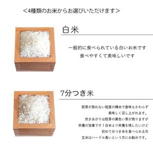 【選べる精米率】 令和7年産 三重県産 コシヒカリ 10kg ( 5kg × 2袋 )[ 白米 玄米 5分つき米 7分つき米 ]　三重県津市 白米 5kg×2袋
