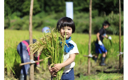 最上町の地酒　「山と水と、」生原酒と火入れ酒セット