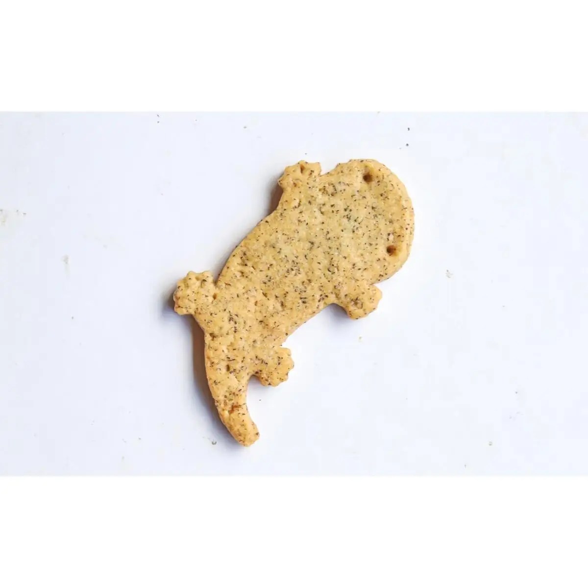 生野紅茶 ティータイムセット クッキー 紅茶 セット 紅茶クッキー サンショウウオ オオサンショウウオクッキー かわいい ギフト お土産 兵庫県 朝来市 AS30AD22