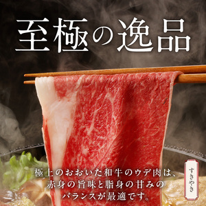 【贈答用】A4～A5等級 おおいた和牛ウデ肉スライス800g（1パック）_2420R