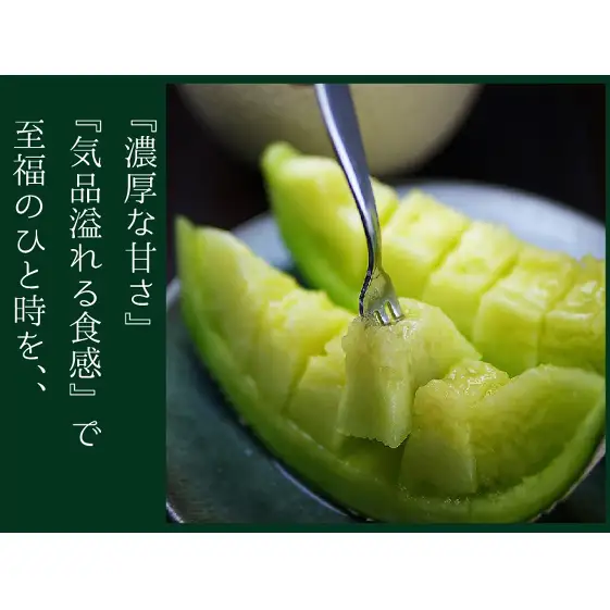 クラウンメロン（白等級）特大玉 １玉入 