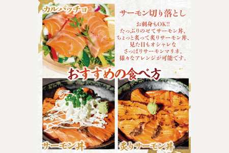 訳あり サーモン 切り落とし 800g (400g×2袋）_AF108