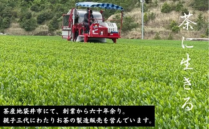 特選　深蒸し新茶《初づみ》貼缶　箱ギフト（180g×2缶）