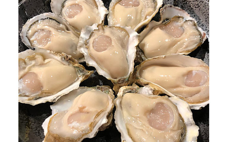 N-161 有明海からの贈り物 新鮮 旬 魚介類 有明海 海鮮 贈り物 ギフト お歳暮 おせち