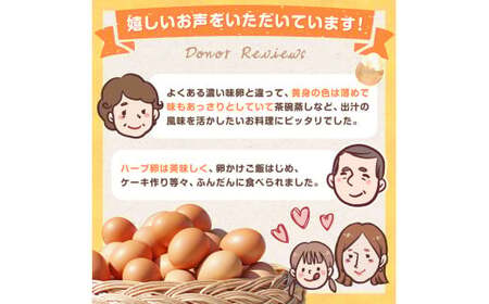 【12ヶ月定期便】たまご家のハーブ卵（笑顔）30個 鶏卵 生卵 たまご 卵 佐賀県 太良町 T26