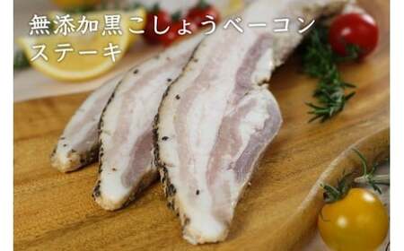 O-122 N45B HOMARE（ほまれ）ハム・ソーセージセット ベーコンステーキ 63g 2枚 ローストハムステーキ 63g 2枚 スペアリブ 200g 3個 ローストハム ベーコン ステーキ ハム 冷凍便 冷凍品 人気 シャルキュティエ田嶋 太良町 国産