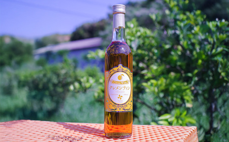 クレメンティンワイン 500ml×12本 （計6000ml） ワイン クレメンティン 甘口ワイン 柑橘系 柑橘類 蜜柑 みかん ミカン みかんワイン お酒 酒 アルコール アルコール飲料 佐賀県 太良町 常温 S4