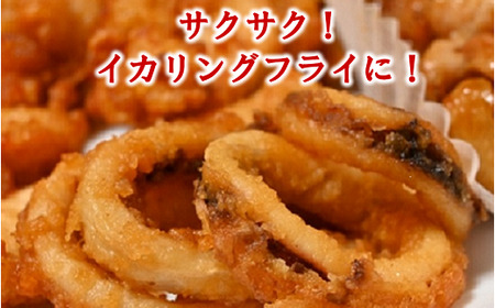 【久慈港水揚げ】冷凍スルメイカ中４～６本（約1ｋｇ前後）