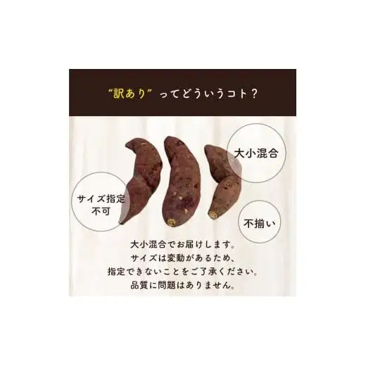 冷凍 焼き芋  選抜 紅はるか やきいも 1kg 【田條園】