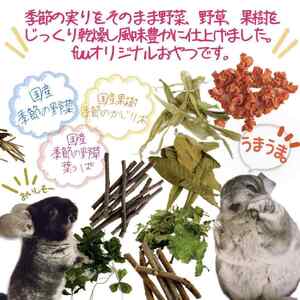 fuu 小動物のかじり木・おやつ　SpecialアソートBOX（2個）[145S11]