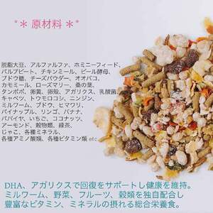 fuu うまうまセレクション モモンガのごはん（640g）[145S30]