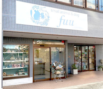 shop fuuで使えるクーポン券（30,000円）[145S80]