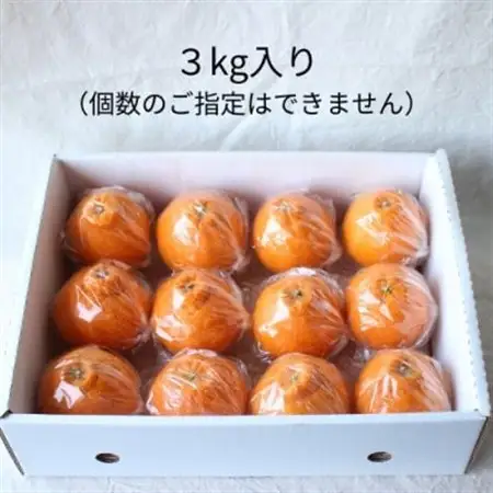 【2026年5月順次発送】濃厚なコクと甘さ 長期熟成しらぬい 3kg 農家直送 和歌山県産【1550279】