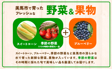 ふるさと小包詰め合わせ7月 約9種セット