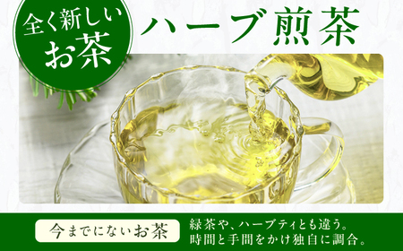 エルダーフラワーティーバッグ2.5g×10包 / ティーバッグ お茶[AFAG015]