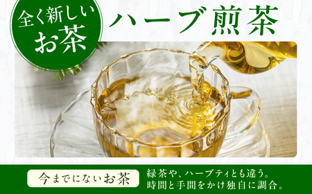 ネトルティーバッグ2.5g×10包 / ティーバッグ お茶[AFAG016]