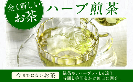 ペパーミントティーバッグ2.5g×10包 / ティーバッグ お茶[AFAG017]