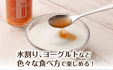 【お中元対象】発酵ジュースのもと〈日田すもも〉 110ml×5本 ジュース すもも 果実飲料 [ARDA005]