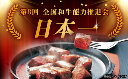 【6回定期便】 【飛騨牛】A5等級 サイコロステーキ 部位おまかせ 1kg [TAZ044] 牛肉