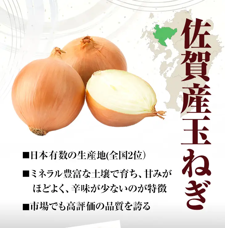 佐賀牛入合い挽きハンバーグ（150g×6個）ハンバーグ A075-033