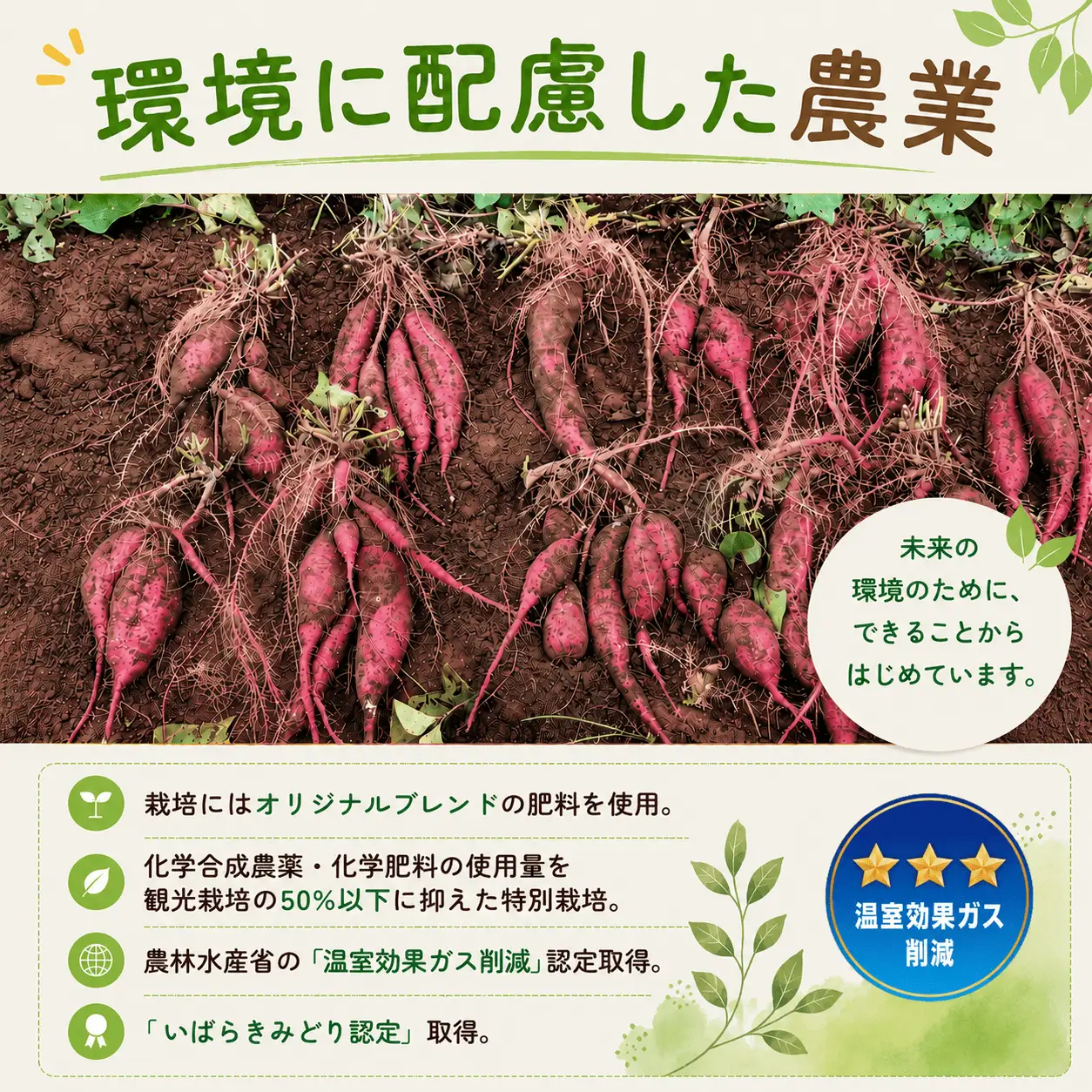 さつまいも 紅はるか 約5kg さつまいも