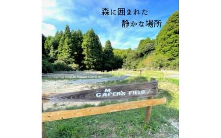 【ほこたBASE】キャンプ場　1区画利用券＆鉾田の美味しい食材付き（平日プラン）