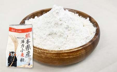 薄力小麦粉 肥後のいずみ 800g×10袋 計8kg 小麦粉 国産 国産小麦 小麦 料理 家庭用