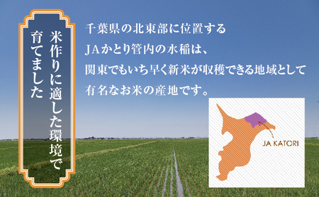 JAかとり直送 コシヒカリ 精米10kg（5kg×2）千葉県産 令和7年産 神崎町 [001-a004]