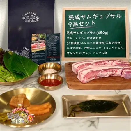 熟成サムギョプサル 9点セット_肉  豚肉 _【配送不可地域：離島】【1473506】