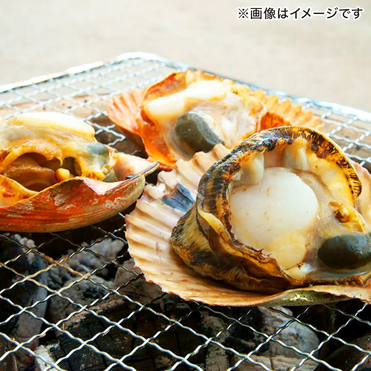対馬産ひおうぎ貝 6パック（4枚入り） 貝  BBQ 小分け [WAC061]