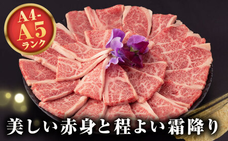 【全6回定期便】【A4～A5ランク】長崎和牛 焼肉用 上カルビ 500g《壱岐市》【野中精肉店】 牛 牛肉 和牛 赤身 焼肉 焼肉用 カルビ BBQ バーベキュー ギフト 贈答用 冷凍配送 A4 A5 [JGC037]