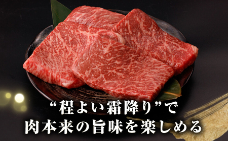 【全6回定期便】【A4～A5ランク】長崎和牛 モモ ステーキ 1.2kg(150g×8枚)【野中精肉店】 牛 牛肉  和牛 長崎和牛 国産 ステーキ ギフト 贈答用 冷凍配送 A4 A5 [JGC053]