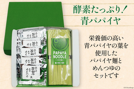AI131 パパイヤ麺 5食 セット めんつゆ付 [長崎県 島原市]