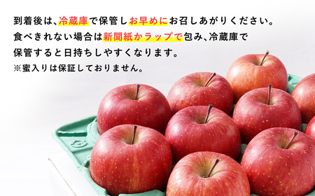 ≪2026年12月発送≫山の完熟サンふじ約3kg 　 【青森県 平川市 吹田りんご園】サンふじ ふじ りんご リンゴ アップル 果物 くだもの フルーツ 平川市産 完熟りんご ［hi-0010-008］