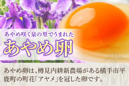 あやめ卵 160個入 【農場HACCP認証】 【JGAP認証】