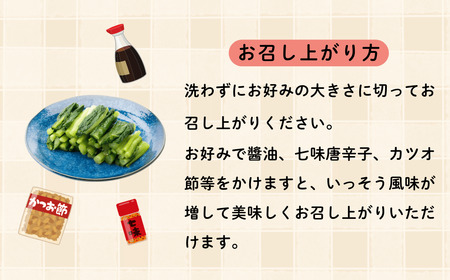 野沢菜漬 タル 1kg （Bl-001） 