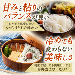 北海道産 ななつぼし 10kg【お米 精米 白米 新米 お米 お弁当 北海道産 ななつぼし 10kg お米10kg 白米10kg 北海道産米 道産米 米】_S036-0034