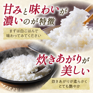 北海道産 ゆめぴりか 10kg【お米 精米 白米 新米 お米 お弁当 北海道産 ゆめぴりか 10kg お米10kg 白米10kg 北海道産米 道産米 米】_S036-0036