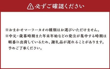 長崎 マーラーカオ 300g×4本 (プレーン1本・おまかせ3本) ／ スイーツ お菓子 菓子 デザート 中華 蒸しパン 長崎県 長崎市
