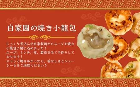 【全6回定期便】【詰め合わせ】ぶたまん20個×焼餃子10個×焼小籠包8個 ／ 中華 点心 惣菜 豚まん ギョーザ セット 詰め合わせ 長崎土産 長崎県 長崎市