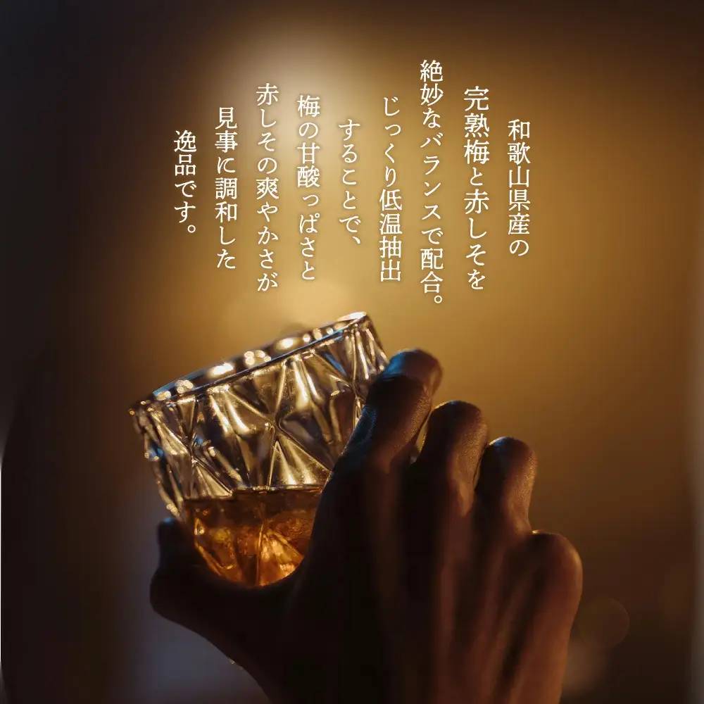 The Japanese Liqueur UMESHISO-Kanjuku-（梅しそ-完熟-）　【12203-0262】