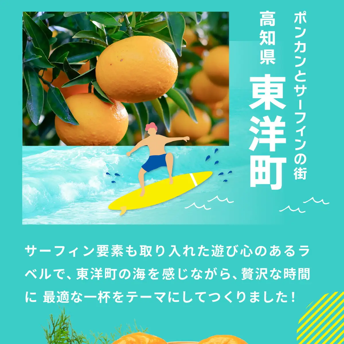 ポンカンビール＜330ml×6本＞【MT001-2】